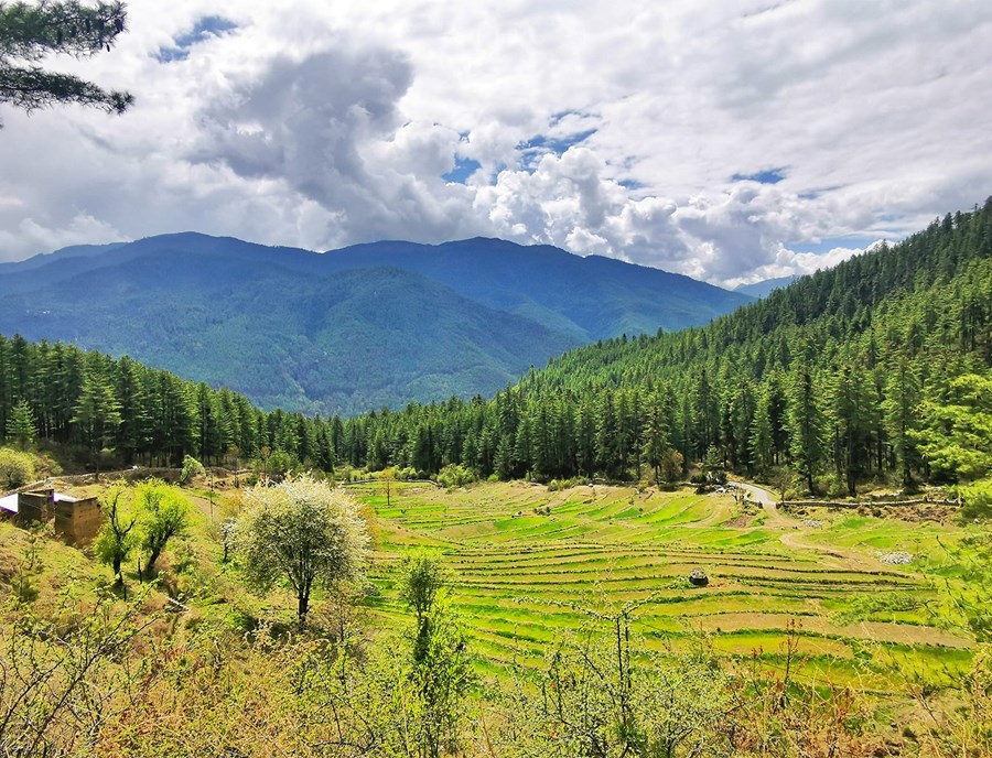 Bumthang Valley Blends Sacred Heritage With Breathtaking Natural Beauty