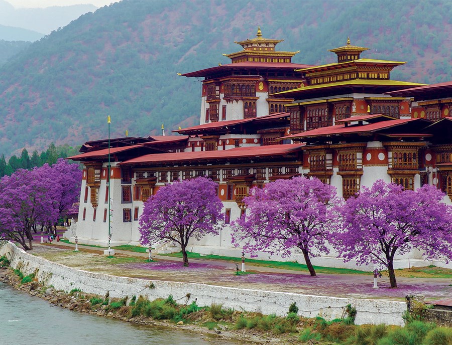 Punakha Dzong Standing Gracefully Between Sacred Flowing Rivers