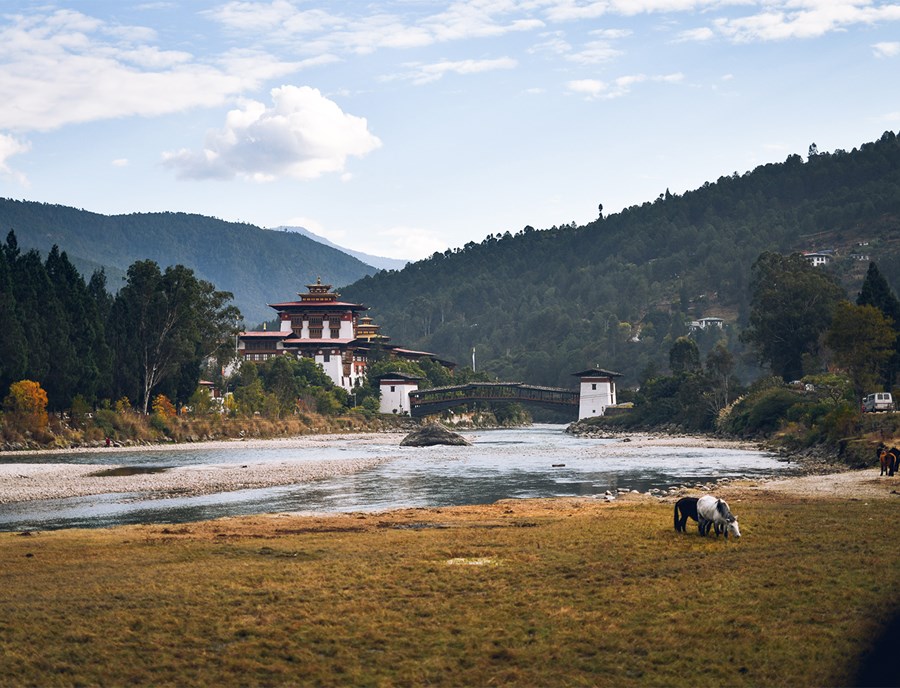 Punakha Dzong Bhutan Reflecting Timeless Royal Heritage