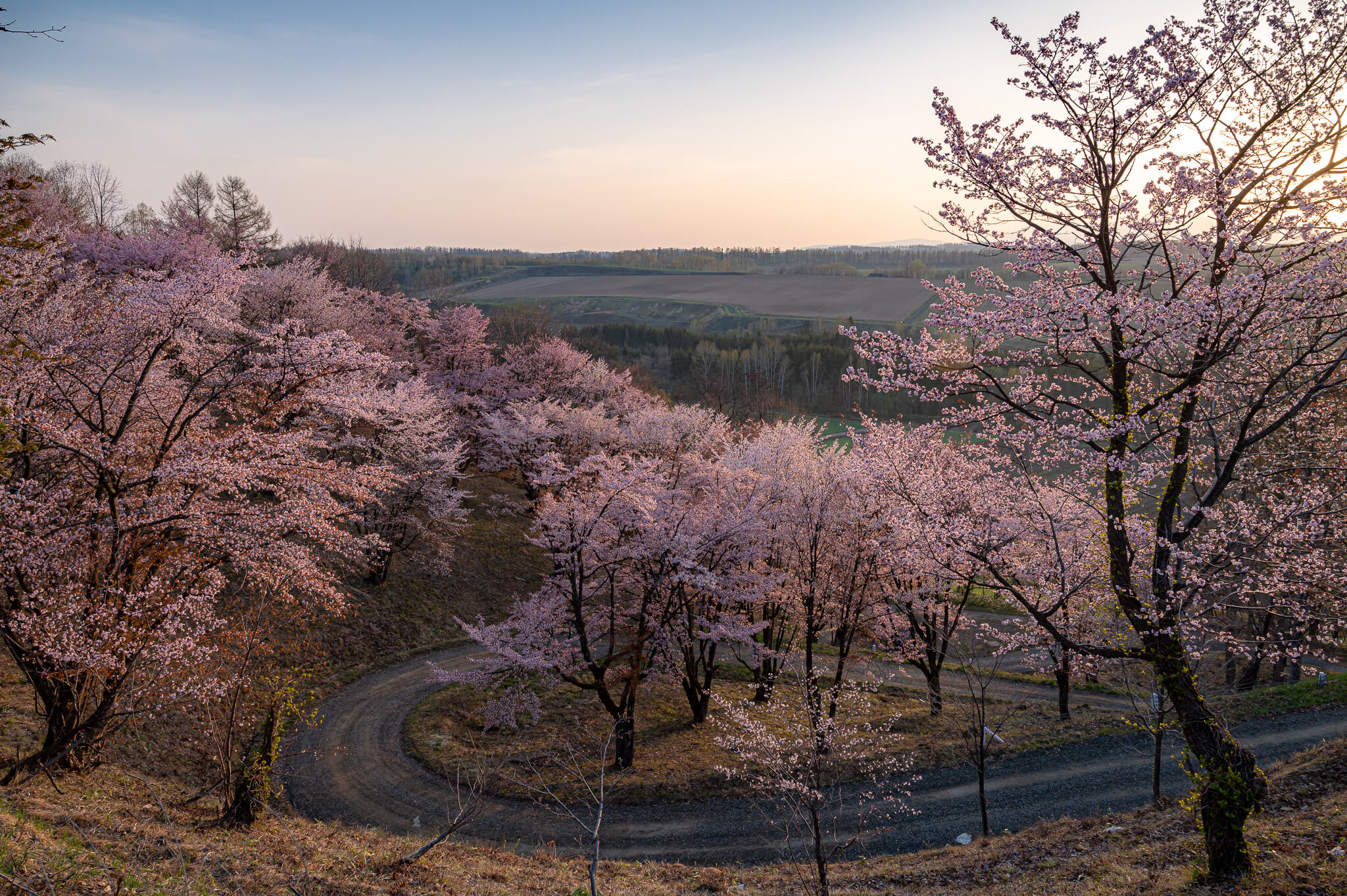 Hokkaido RV Parks: 3 Scenic Stops for a Campervan Adventure