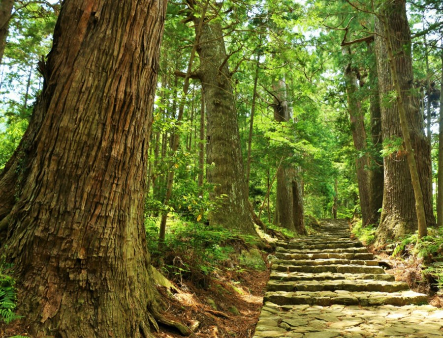 Daimonzaka Trail