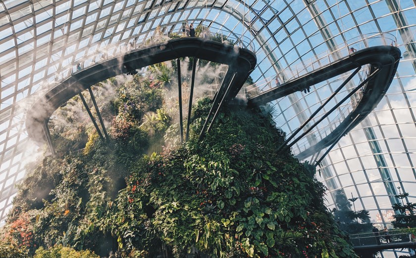Experience a captivating Gardens by the Bay afternoon tour
