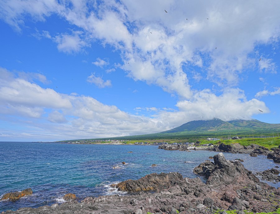 Senhoshimisaki Park Which Has Beautiful Coastal Views