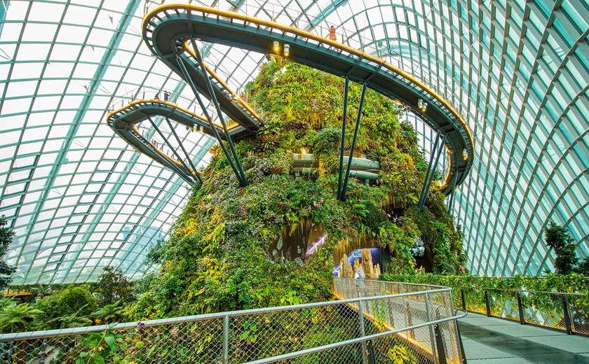 Experience a captivating Gardens by the Bay afternoon tour
