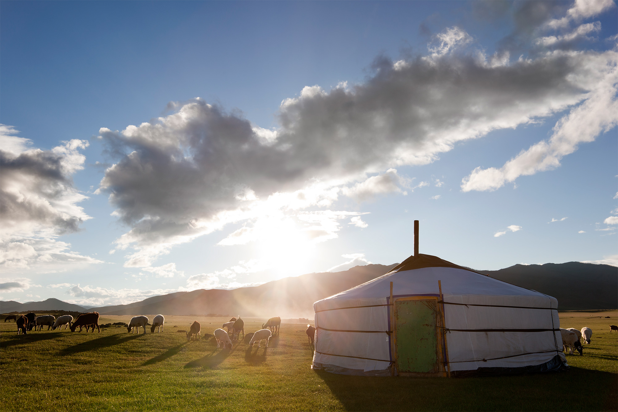 The Golden Steppe