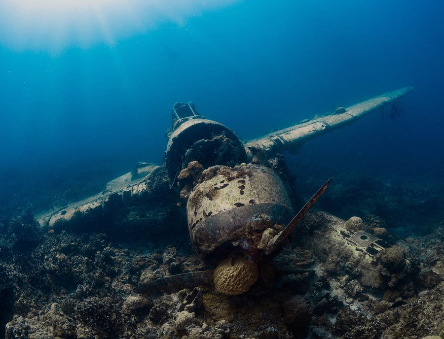 Palau WWII Wreck & Seaplane—Where History Meets Sky And Sea