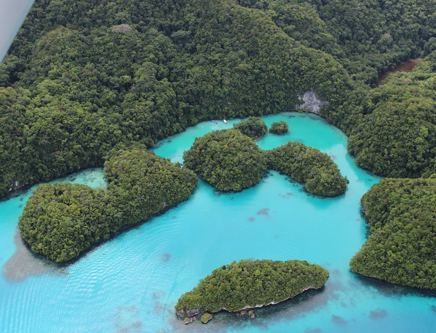 Palau’S Milky Way Offers Wellness Amid Stunning Beauty