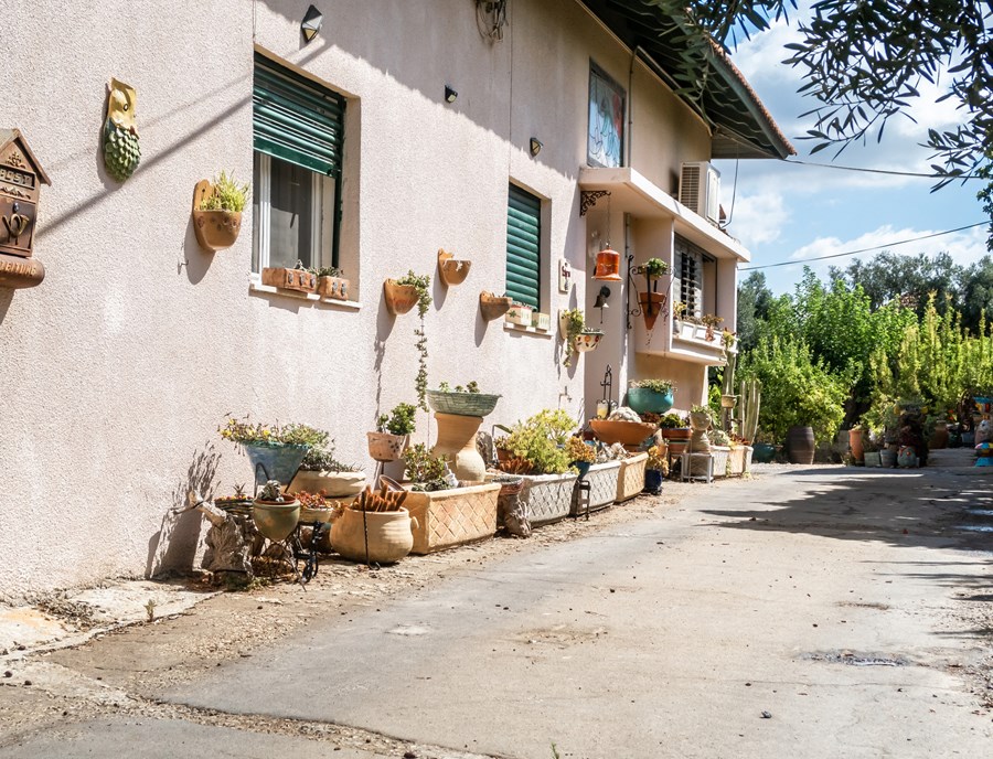 Zikhron Ya’Akov Blooms With Timeless Charm And Quiet Beauty