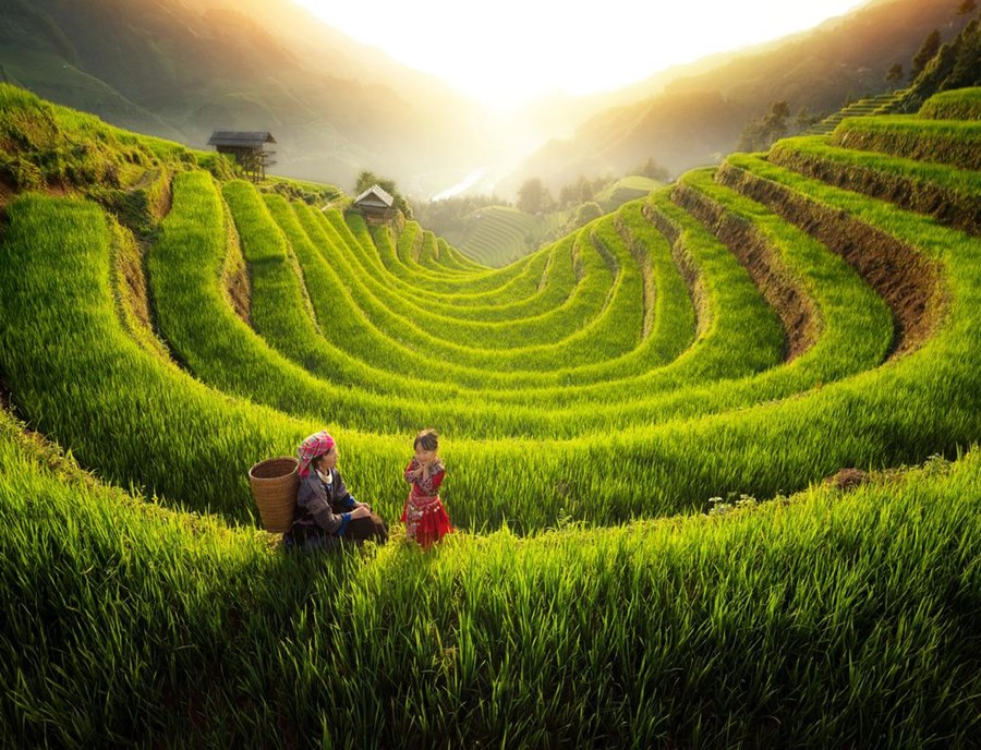 Garrya Mu Cang Chai Resort Vietnam Mu Cang Chai Pool Suite Green Rice Season