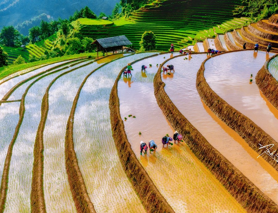 Garrya Mu Cang Chai Resort Vietnam Mu Cang Chai Pool Suite Pouring Water Season