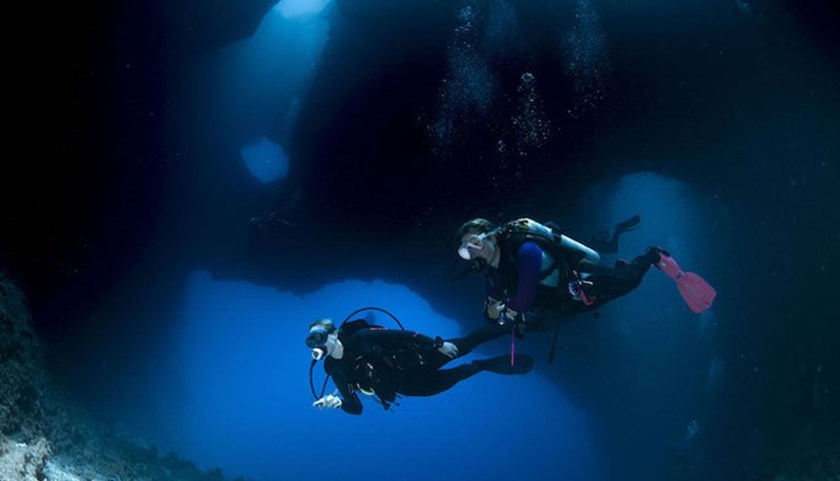 4D3N Private Palau Diving Experience