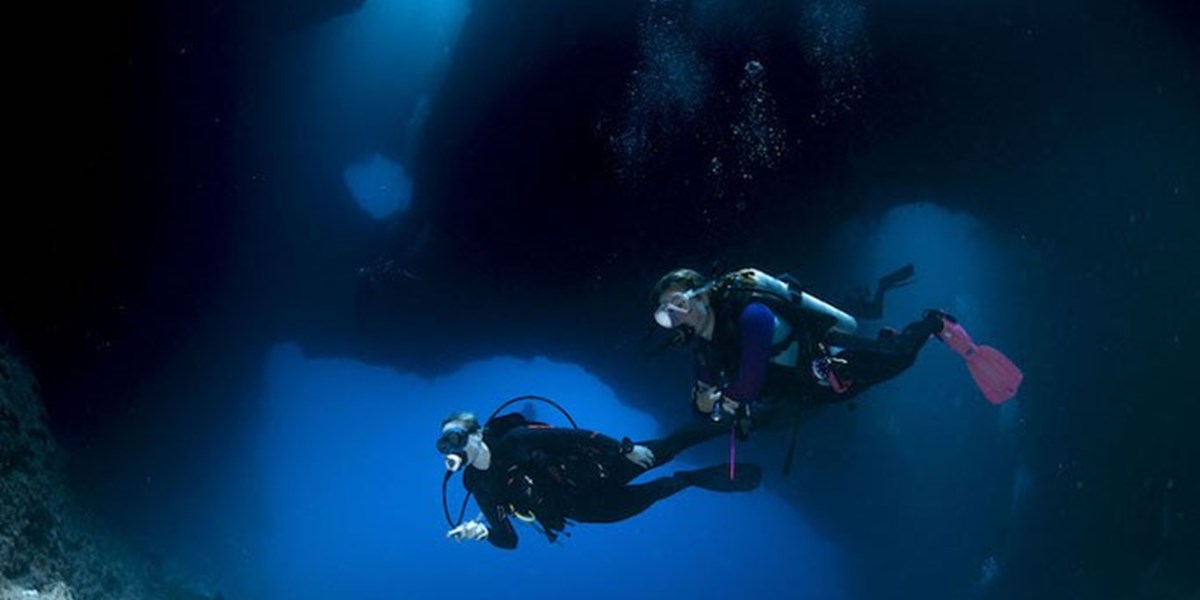 4D3N Private Palau Diving Experience