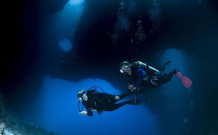 4D3N Private Palau Diving Experience