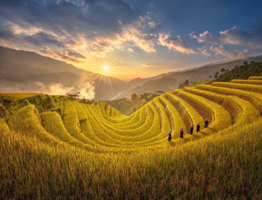 Garrya Mu Cang Chai Resort Vietnam Mu Cang Chai Pool Suite Golden Season