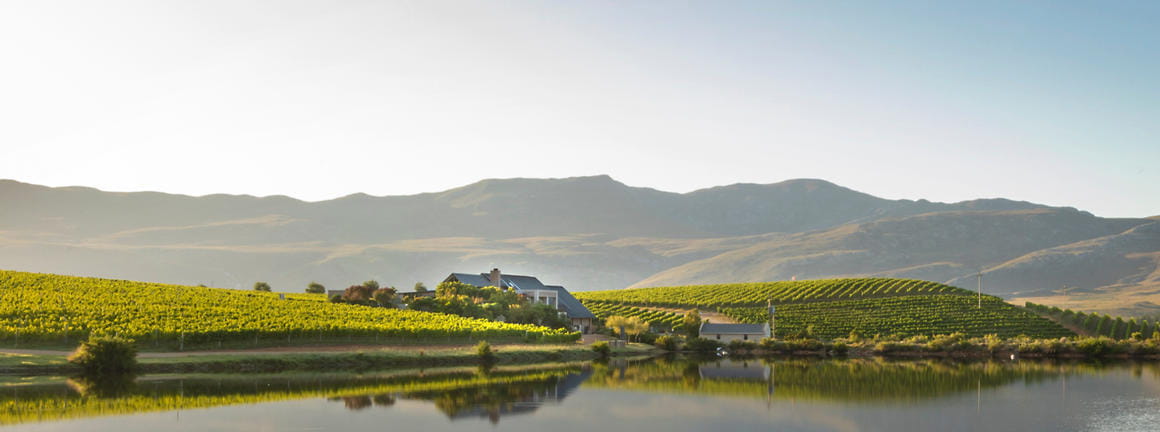 Creation Wines Pairs Fine Wines With Mountain Views