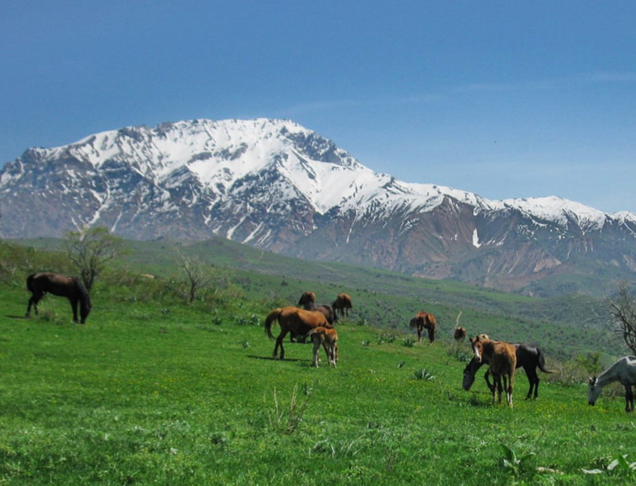 Chimgan Mountain