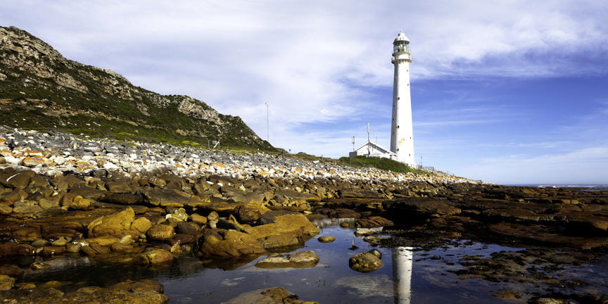 Explore The Dramatic Beauty Of Cape Peninsula