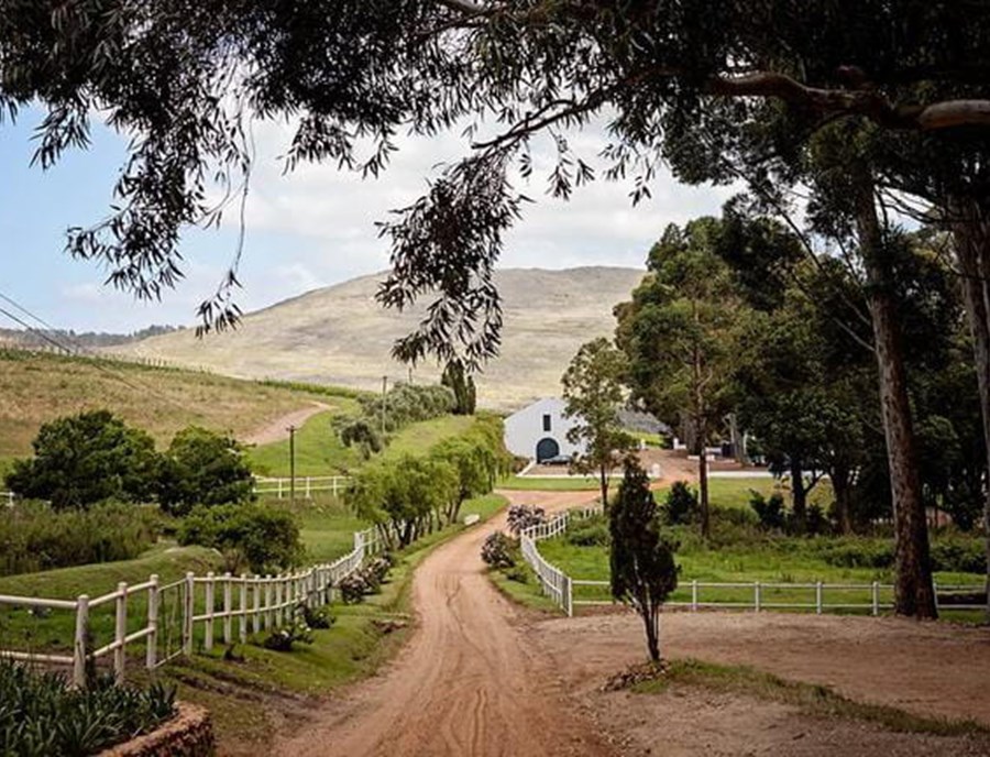 Hemel En Aarde Valley Produces Exceptional South African Wines