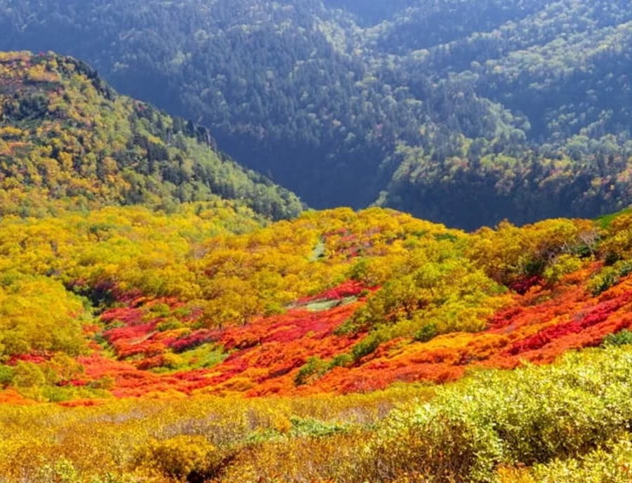 Discover Sounkyo Gorge On A Hokkaido Campervan Adventure