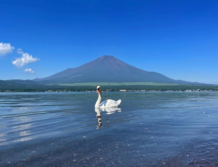 Lake Yamanakako Mt Fuji 1