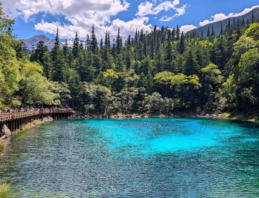 A Fairytale Brought To Life—Jiuzhaigou Valley Is Famous For Its Crystal Clear Lakes, Cascading Waterfalls, And Colourful Forests