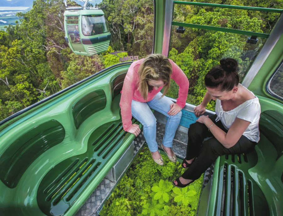 Embark On A Breathtaking Journey On The Skyrail Rainforest Cableway