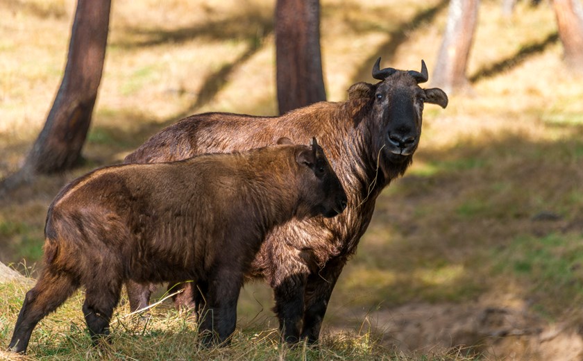 Uniquely designed Photography Trip to Bhutan with Michael Lee