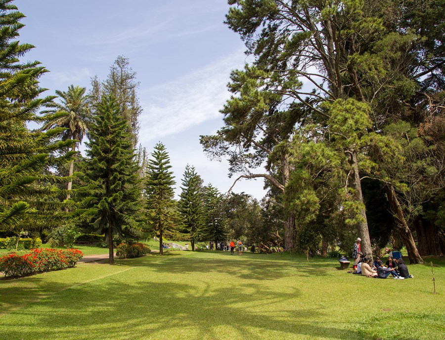 Discover Peaceful Moments At Nuwara Eliya S Victoria Park