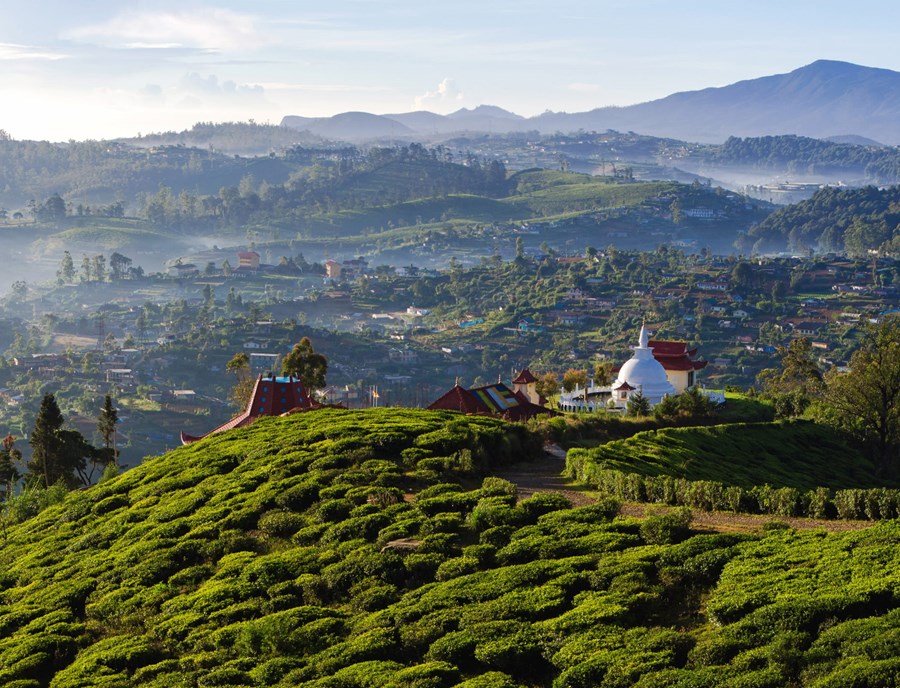 Breathe In Nuwara Eliya S Endless Tea Plantations