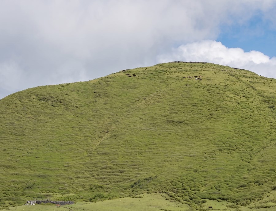 Maubisse Welcomes Riders With Cool Mountain Serenity