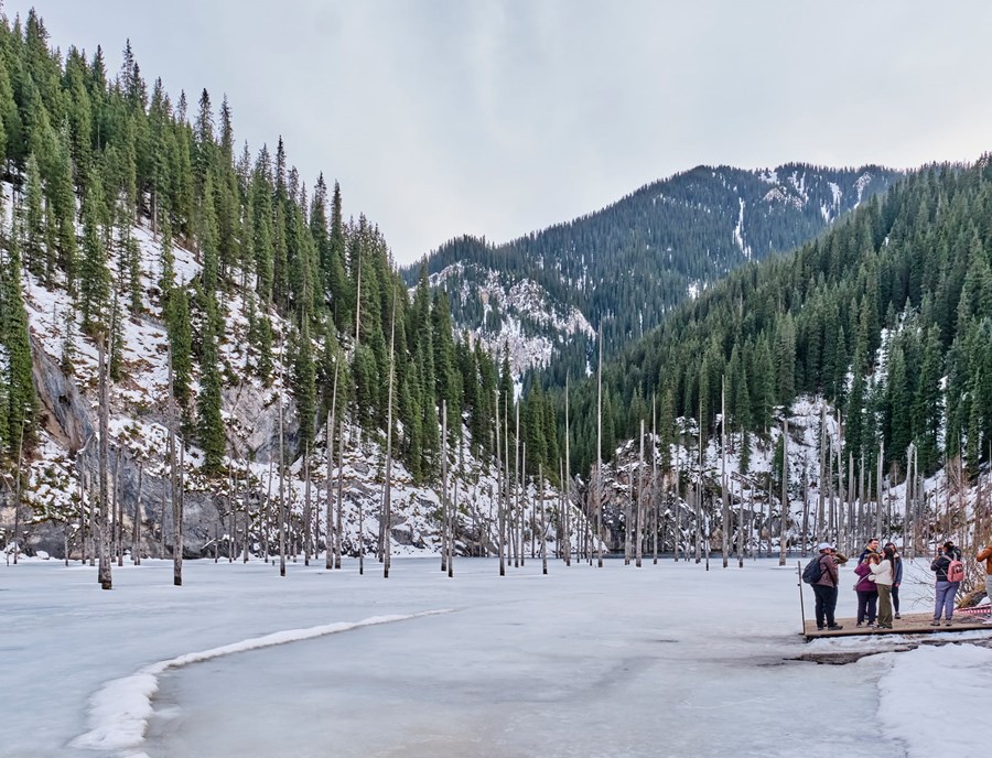 Kaindy Lake S Frozen Forest Creates Unforgettable Memories