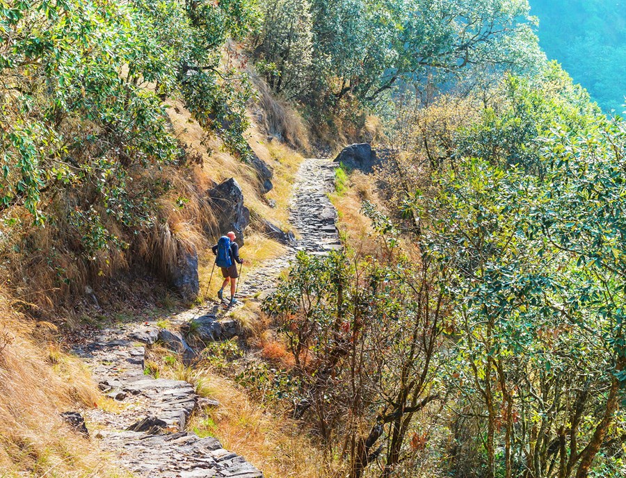 Follow Forest Paths Into Nepal S Peaceful Countryside
