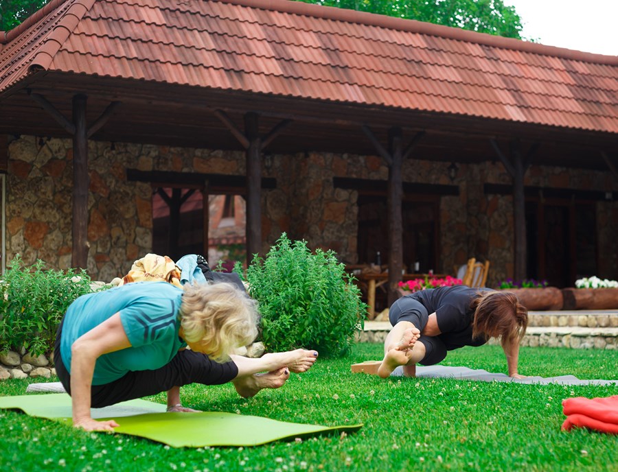Let Nature Guide Your Meditation Journey