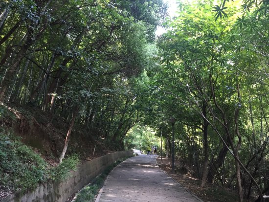 Zhishan Park Ningbo Cixi