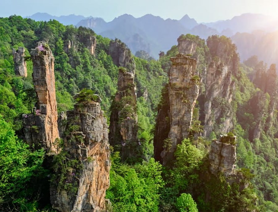 Up Into The Mountains Of Zhangjiajie