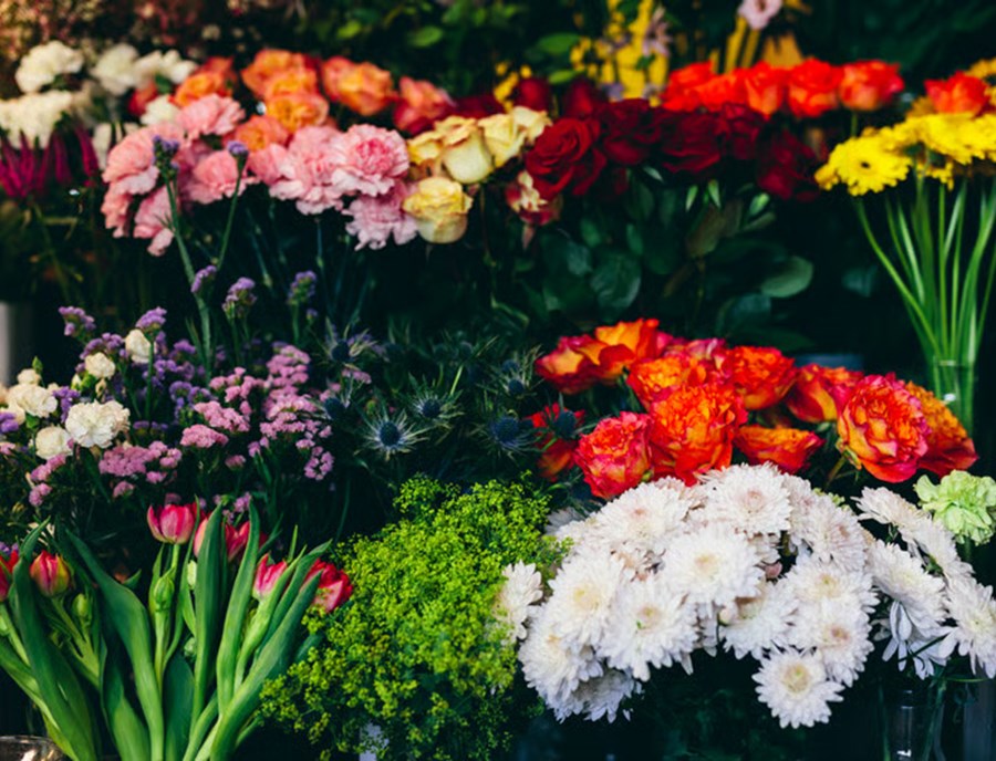 A Colourful Stroll Through Dounan Flower Market, One Of Asia’S Largest Fresh Flower Markets