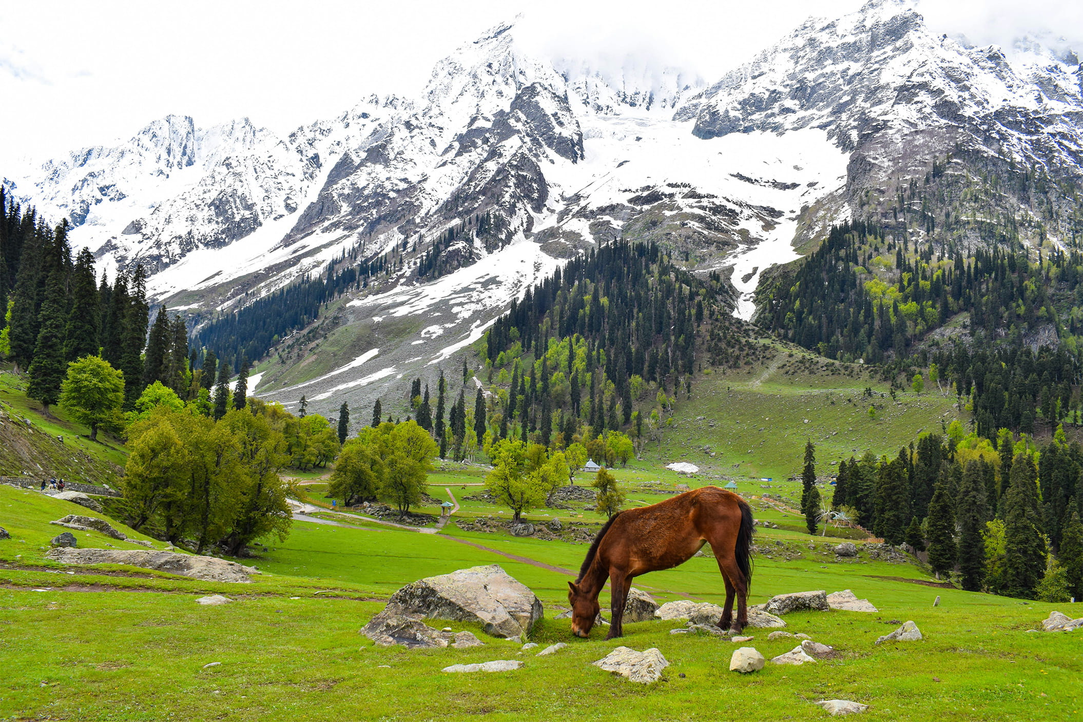 Thajiwas Glacier Sonamarg Kashmir