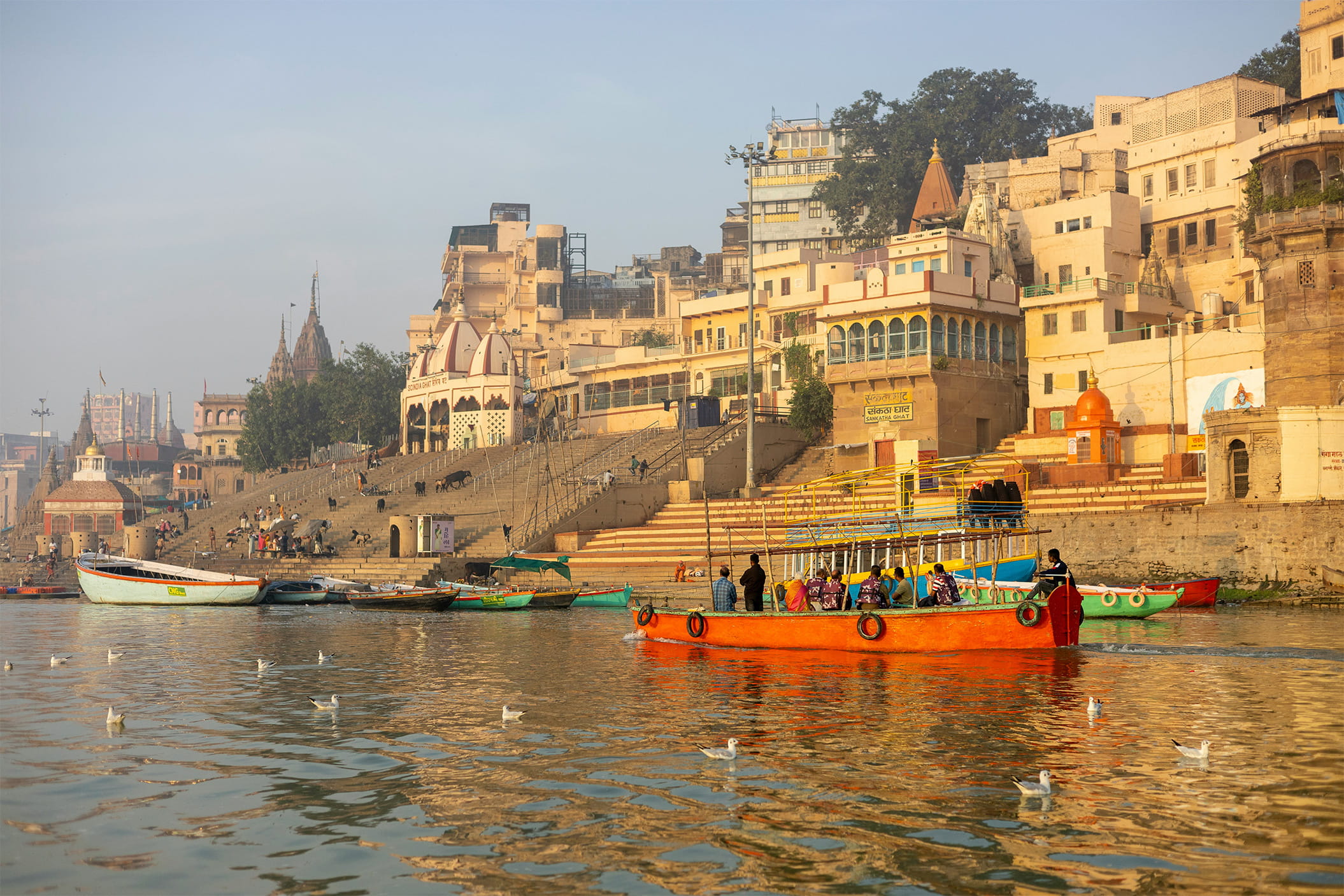 Varanasi Uttar Pradesh India
