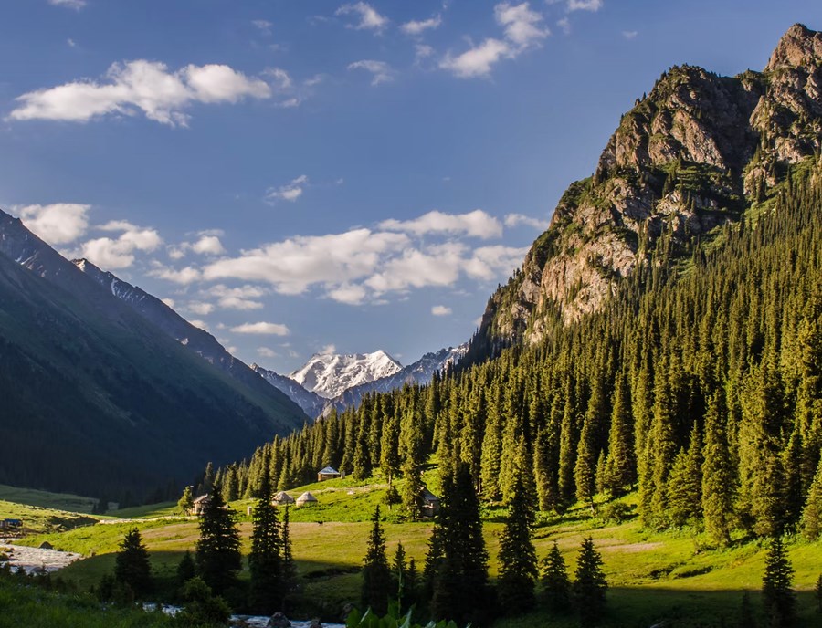 Altyn Arashan Valley Is Where Green Valleys Meet Snow Capped Peaks