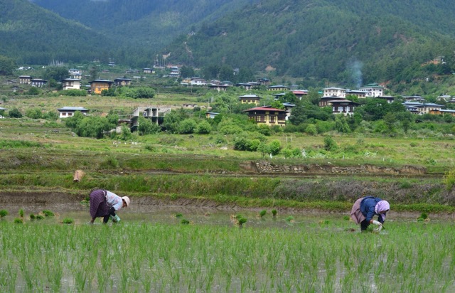 Agrotourism