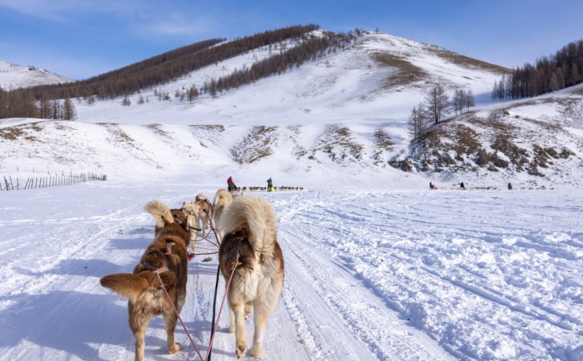 8 Days 7 Nights Winter Wonderland Mongolia Tour