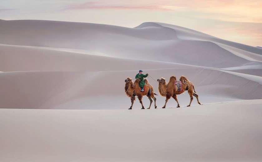 8 Days 7 Nights Winter Wonderland Mongolia Tour