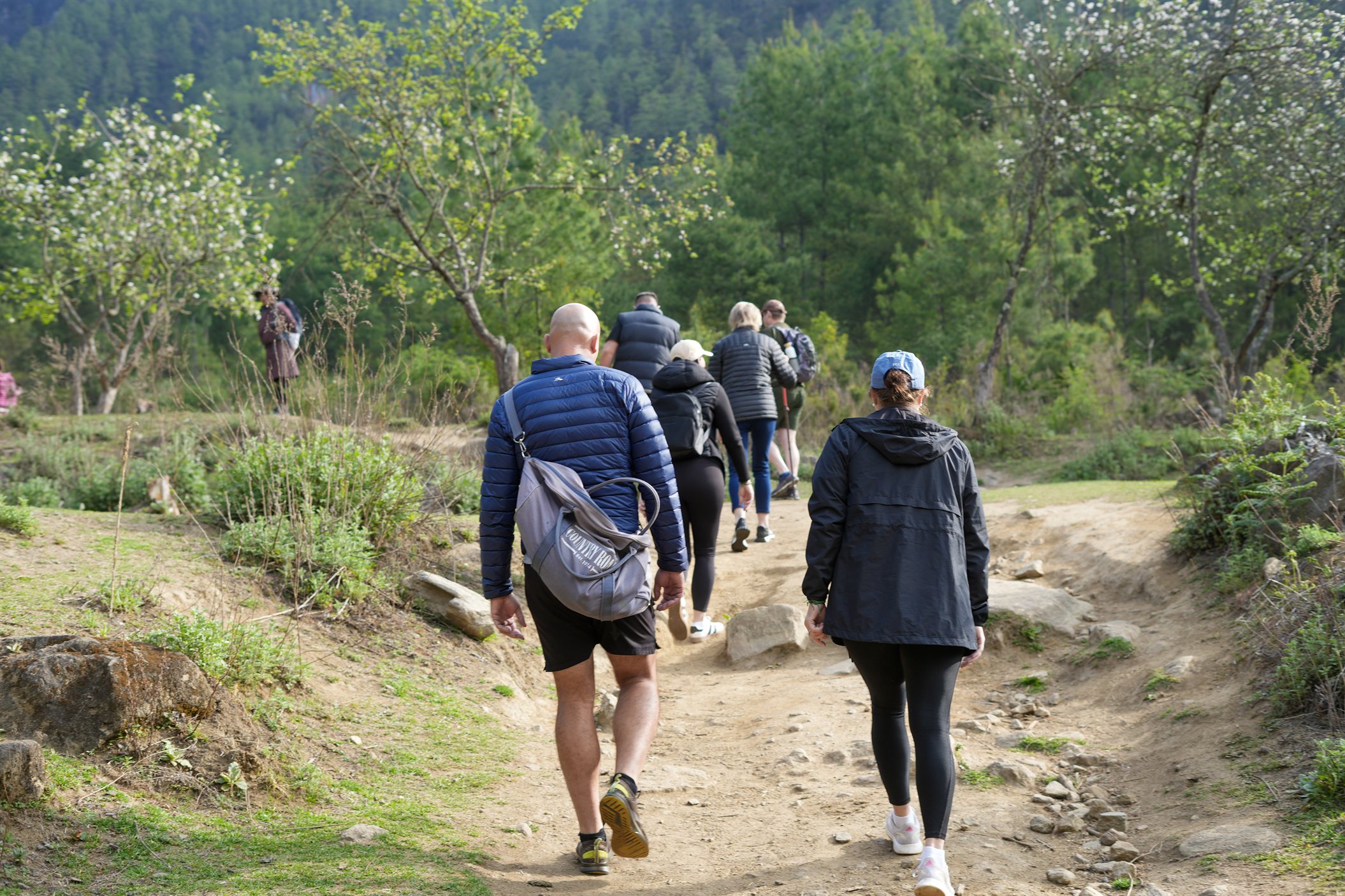 Walk steadily through peaceful forests toward Bhutan iconic monastery.