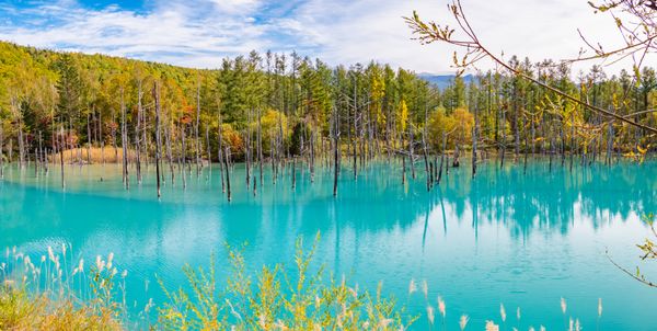 Furano Hokkaido Japan