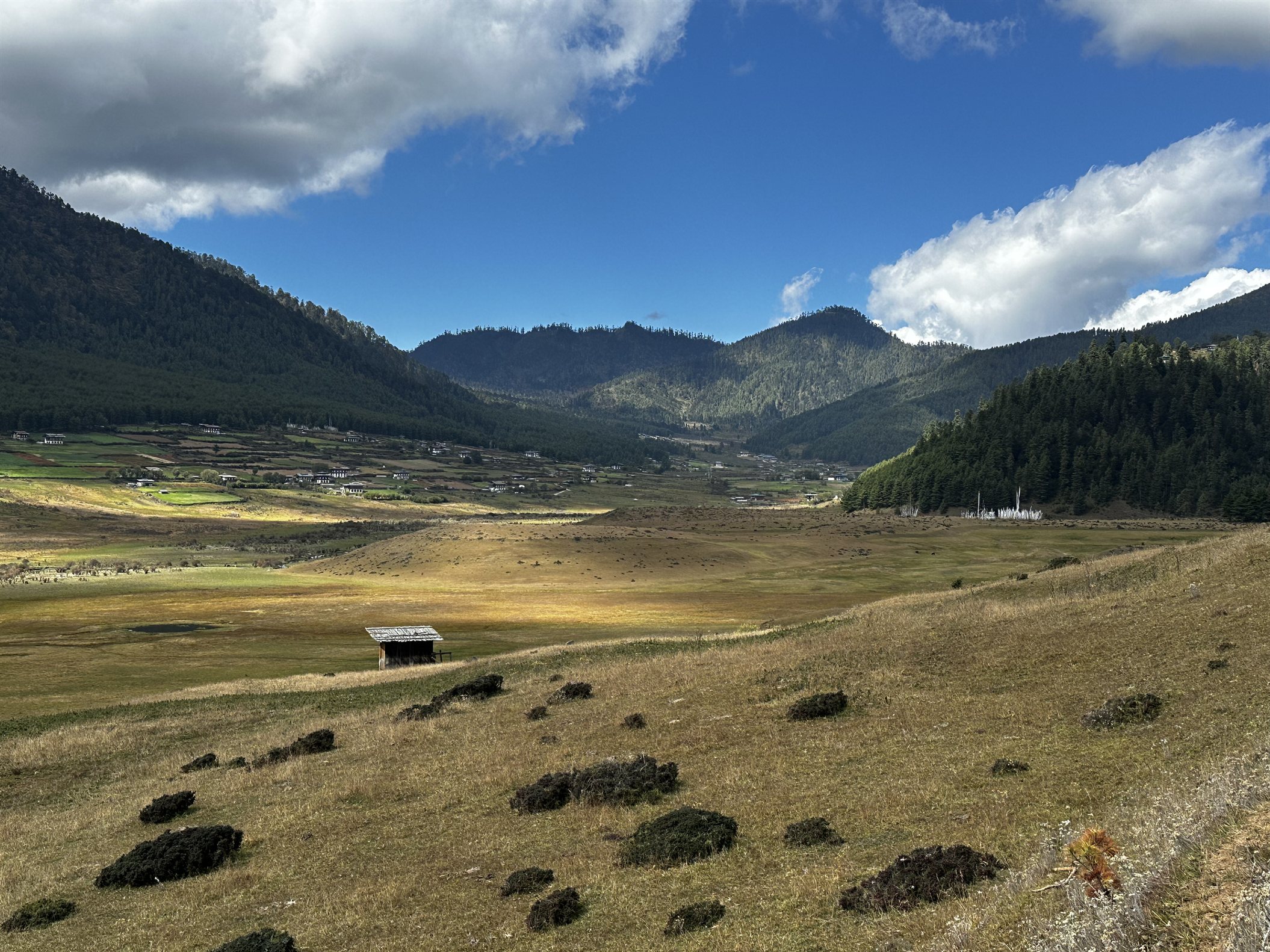 Phobjikha Valley rewards travellers after the winding mountain journey