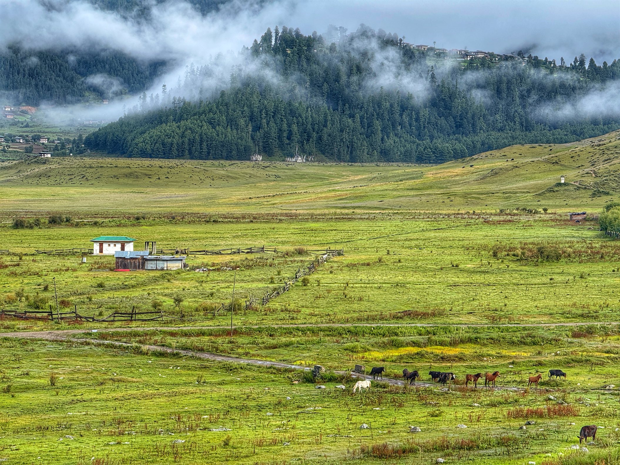 Peaceful landscapes of Phobjikha Valley