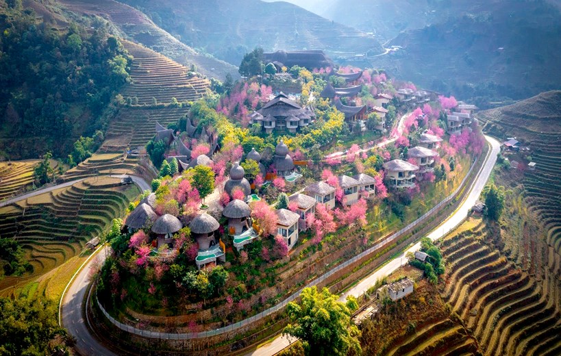 Garrya Mu Cang Chai during spring blossom season with stunning natural scenery