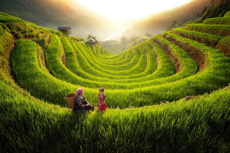 Green rice season landscape seen from Garrya Mu Cang Chai Pool Suite balcony