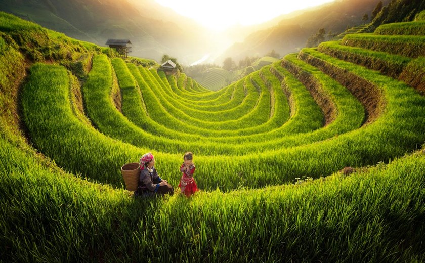 Green rice season landscape seen from Garrya Mu Cang Chai Pool Suite balcony