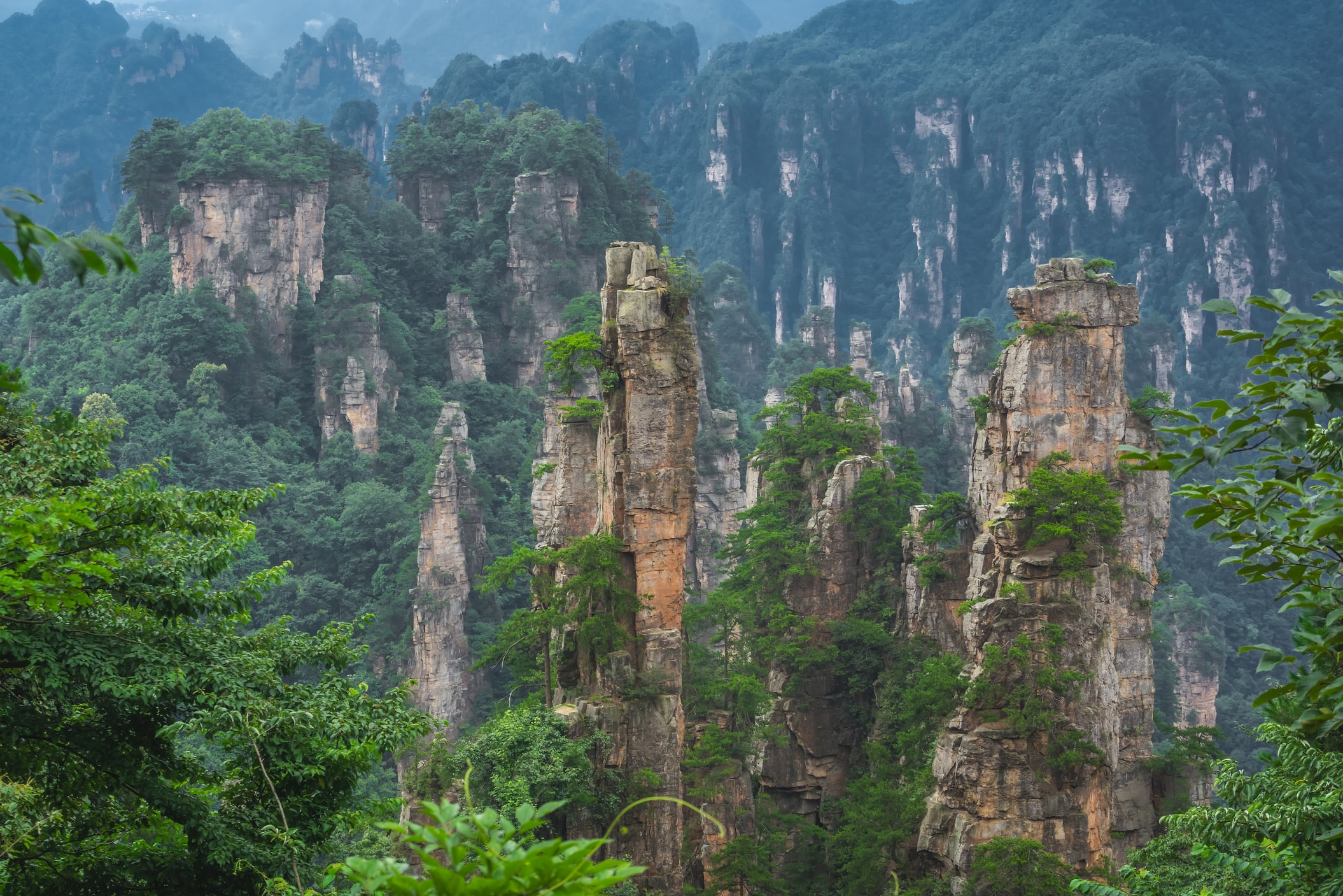Marvel at towering Zhangjiajie sandstone pillars rising through misty forests